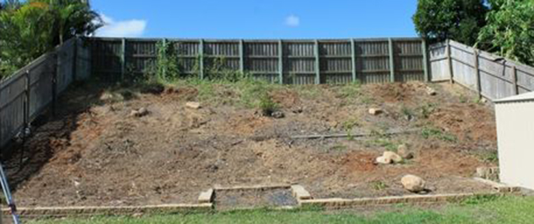Garten Vorher 1